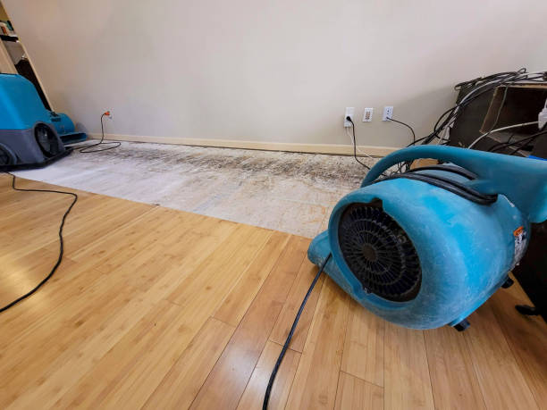 Professional Basement Flood Cleanup technician working in Pine Grove, CA